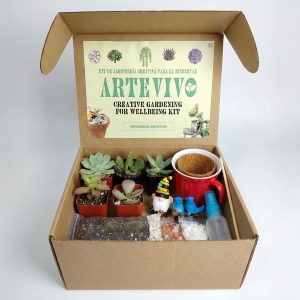 ArteVivo: Kit de jardinería creativa para 2 terrarios