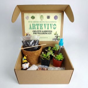 ArteVivo: Kit de jardinería creativa para 1 terrario